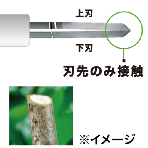 マキタ 充電式ポールヘッジトリマ MUN500WDRG　バッテリBL1860B、充電器DC18RF付