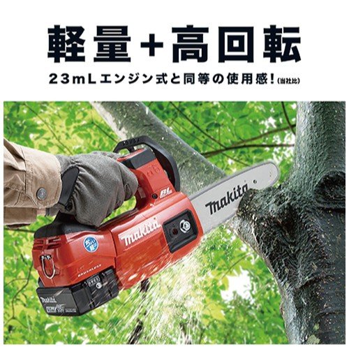 枝の伐採作業